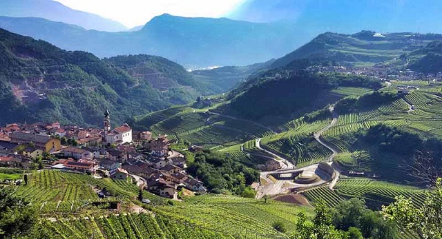 2-immagine-primaverile-dei-vigneti-terrazzati-della-val-di-cembra.jpg