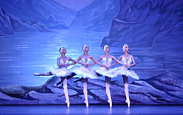 vitti-swanlake_08.jpg