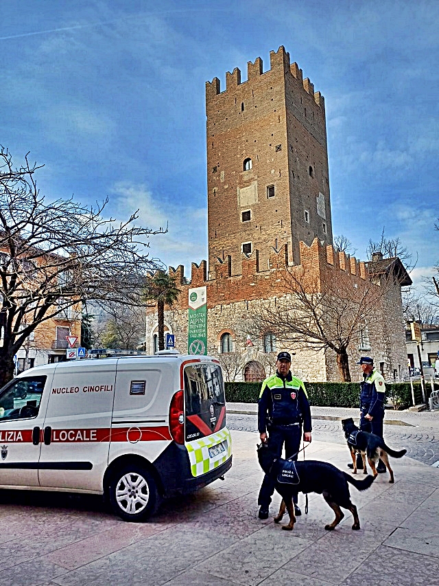 cani-2.jpg