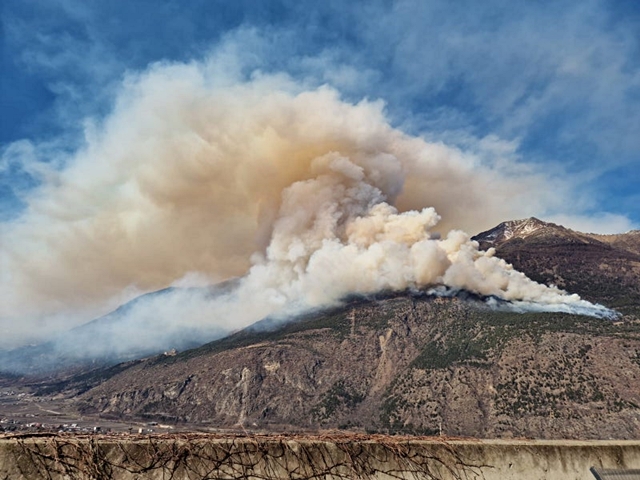 incendio-2-waldbrandlatsch.jpeg
