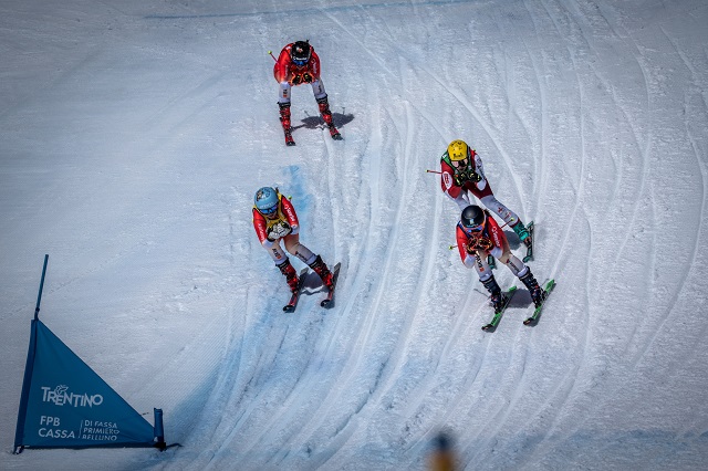 ski-cross-35681.jpg