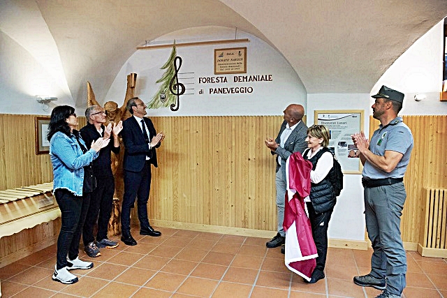 bosco-1.jpg