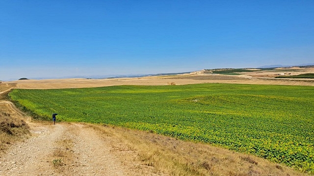 7-sotto-il-sole-della-navarra.jpg