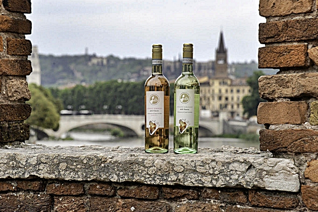 5-il-pinot-grigio-doc-delle-venezie-nella-duplice-versione-bianco-e-ramato.jpg