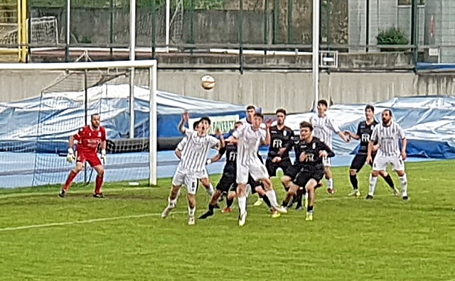 20250427_171223-0.jpg