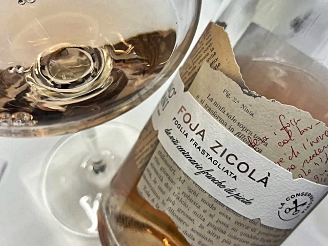 3-l-etichetta-foja-zicola-che-riproduce-stralci-di-antiche-dispense-e-testi-ottocenteschi.jpg