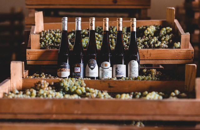 4-le-sei-etichette-sul-red-carpet-della-casa-caveau-del-vino-santo-a-padergnone.jpg