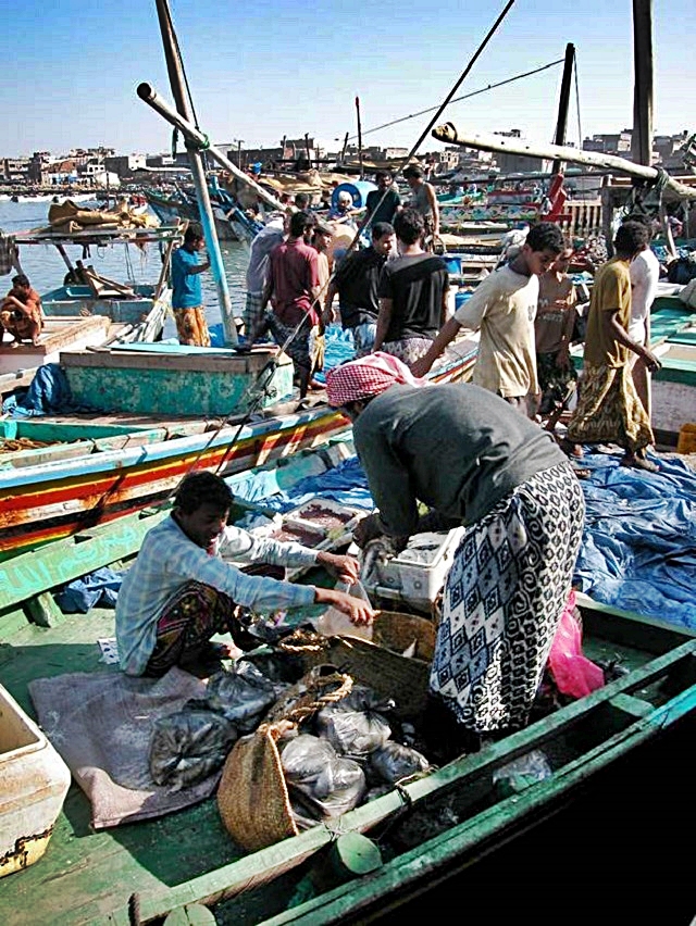 lucchi-mercato-degli-squali-6.jpg